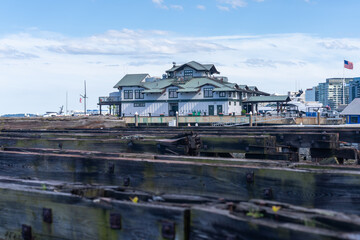 Fototapeta premium Boston docks , ocean life wooden