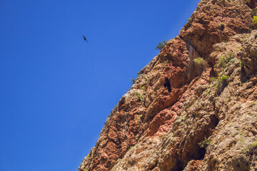 beautiful mountain tops