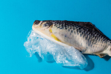A fish with a plastic bag sticks out of the stomach.