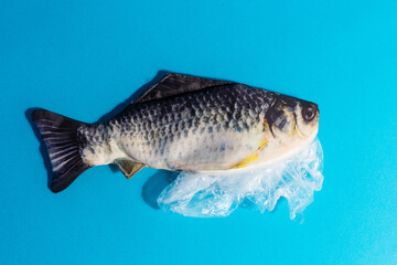 A fish with a plastic bag sticks out of the stomach.