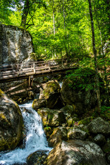 Fototapeta premium Hiking Trail With Wooden Bridge Over Waterfall Through Green Canyon At Myrafälle In Austria