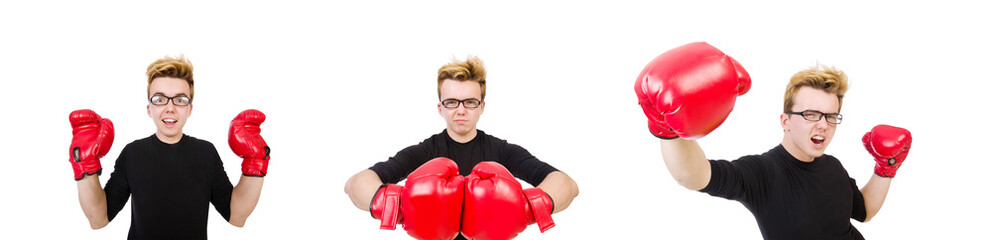 Funny boxer isolated on the white background