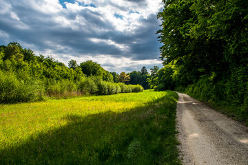 Abandoned Gravel Road In Landscape With Meadow And Deciduous Forest In Austria