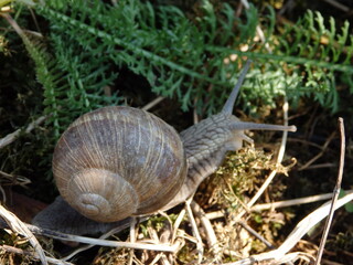 OLYMPUS DIGITAL CAMERA © Kamil