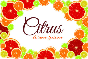 A poster made of citrus fruits on a light background to place an advertising text or title. Vector illustration