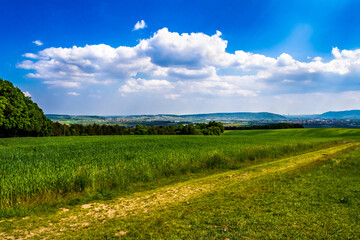 Fototapeta na wymiar Rural Landscape With Sunlit Clouds In Front Of The Skyline Of Vienna In Austria