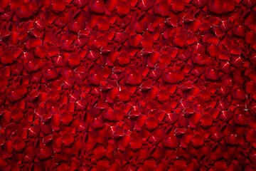 Beautiful background of red rose petals