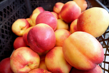 Pile of Fresh Ripe Organic Nectarine Fruits in a Basket