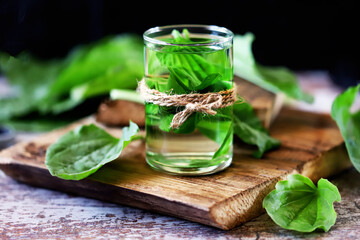 Selective focus. Plantain drink in a glass. Fresh leaves of plantain. Therapeutic tea of plantain.