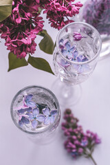 glass of water with flowers lilac in a glass