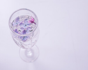 glass of water with flowers lilac in a glass
