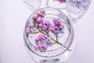 glass of water with flowers lilac in a glass