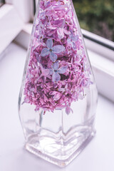 glass of water on purple background glass of water with flowers lilac in a glass