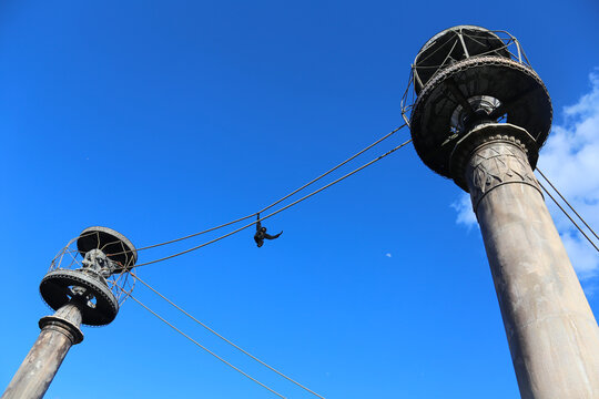 This monkey is not afraid of heights