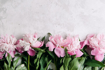 Fototapeta na wymiar Peonies flowers pink and white on a light textured background with place for text, top view. Summer layout concept