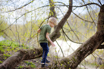 Preschooler child walking in forest after rain. Kid playing and having fun in spring or summer day.