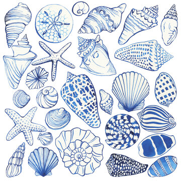 Set of blue seashells and starfish, marine design. Watercolor hand drawn painting illustration isolated on white background.