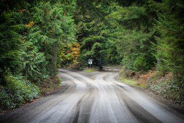 Empty dirt road which splits in two, concept for life choices or decisions