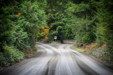 Fotobehang Bospad Empty dirt road which splits in two, concept for life choices or decisions  © chase clausen