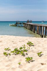 Fototapeta premium old wooden pier, lazy beach, koh rong samloem island, Sihanoukville, Cambodia.