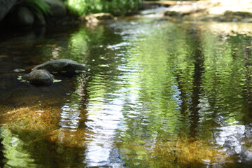 Crystalline pool out of focus with stones and reflections.