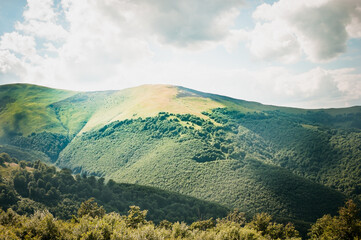 summer mountain landscape, forest, clouds