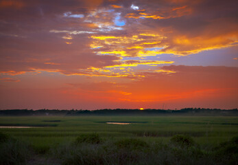 sunset over the field