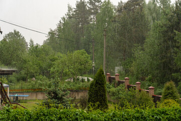 Fototapeta na wymiar heavy rain bush garden