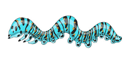 Stock vector illustration. The caterpillar is blue with black stripes and orange dots. Drawing isolated on white background
