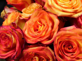 bouquet of yellow-orange roses closeup, top view