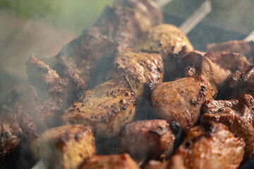grilled meat shashlik fire cooking smoke