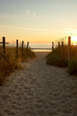 Sandy path to the beach among vegetation at sunset