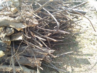 A pile of wood logs
