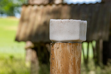 Wild animal lick on a pasture background. Feeding place for animals in the forest.