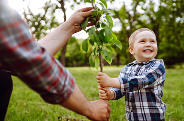 Little boy helping his grandfather to plant the tree while working together in the garden. Fun little gardener. Spring concept, nature and care.