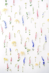 A lot of flowers of different colors fixed on a wall of white, blue, pink, yellow colors. Home decor background. Flower multicolored installation. Selective focus.