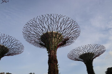 Forêt artificielle, jardins de la Baie à Singapour