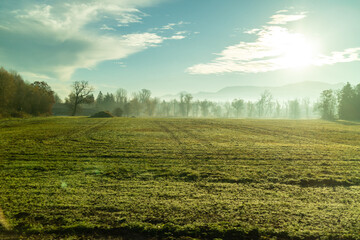 Sunny morning natural landscape with agricultural fields , Austria.