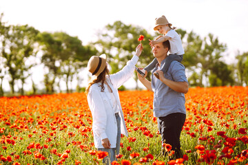 Family with a child walking on a poppy field. Mother, father, little daughter having fun on the poppy field. Summertime.