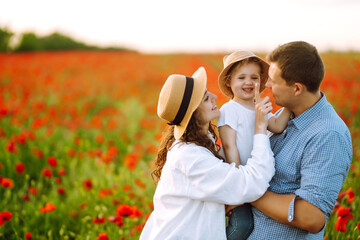 Family with a child walking on a poppy field. Mother, father, little daughter having fun on the poppy field. Summertime.