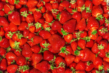 A lot of ripe strawberries closeup from above, background, texture