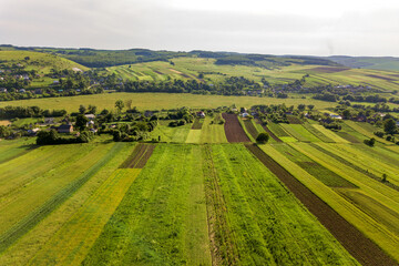Fototapeta na wymiar Aerial view of a small village win many houses and green agricultural fields in spring with fresh vegetation after seeding season on a warm sunny day.