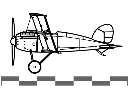 Albatros Dr.II. World War 1 combat aircraft. Side view. Image for illustration and infographics.