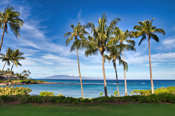 View from Napilili Bay to palm trees and ocean with Lanai in the distance.