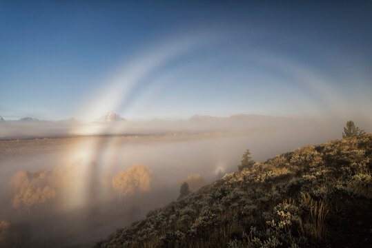 Morning fog & halo in Jackson Hole;  Grand Teton NP;  Wyoming
