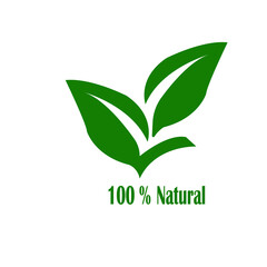 green leaf logo