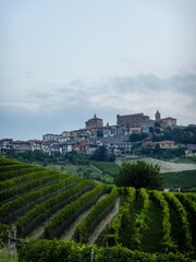 Langhe hills around La Morra, Piedmont - Italy