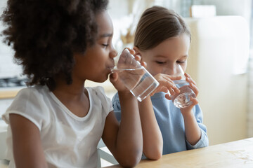 Two multi racial little girls sit at table in kitchen feels thirsty drink clean still natural or mineral water close up image. Healthy life habit of kids, health benefit dehydration prevention concept - Powered by Adobe