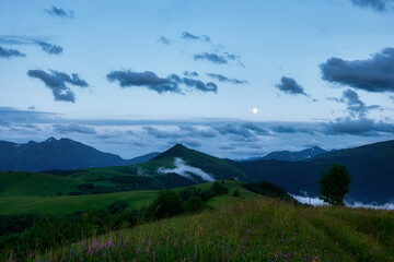 mountain summer landscape. meadow with tall green grass and forest on hillside at night in full moon light. cloudy sky