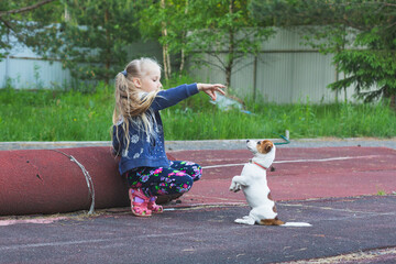 Puppy Jack Russell Terrier obediently executes commands for a piece of food. The child is training a dog on the playground. Pose bunny, gopher. Friendship, love for animals. Dog Day. Pets Day.